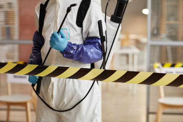 Professional Hoarding Cleanup technician working in Athens, TX